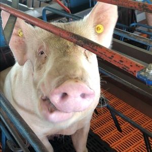 Meet your Posher, Brenden